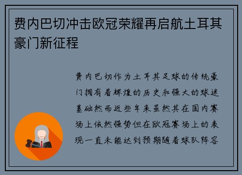 费内巴切冲击欧冠荣耀再启航土耳其豪门新征程