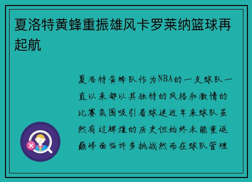 夏洛特黄蜂重振雄风卡罗莱纳篮球再起航